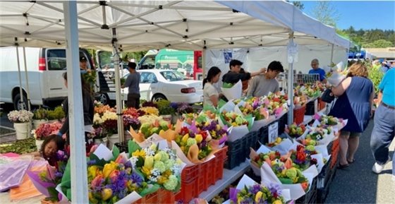 People at Lake Forest Park Farmer's market