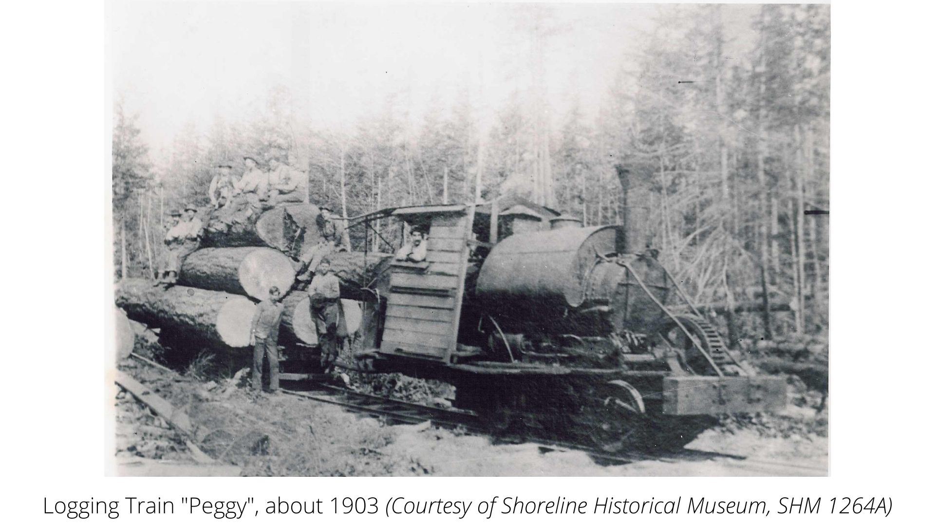 Logging Train Peggy about 1903 (Image courtesy of Shoreline Historical Museum)
