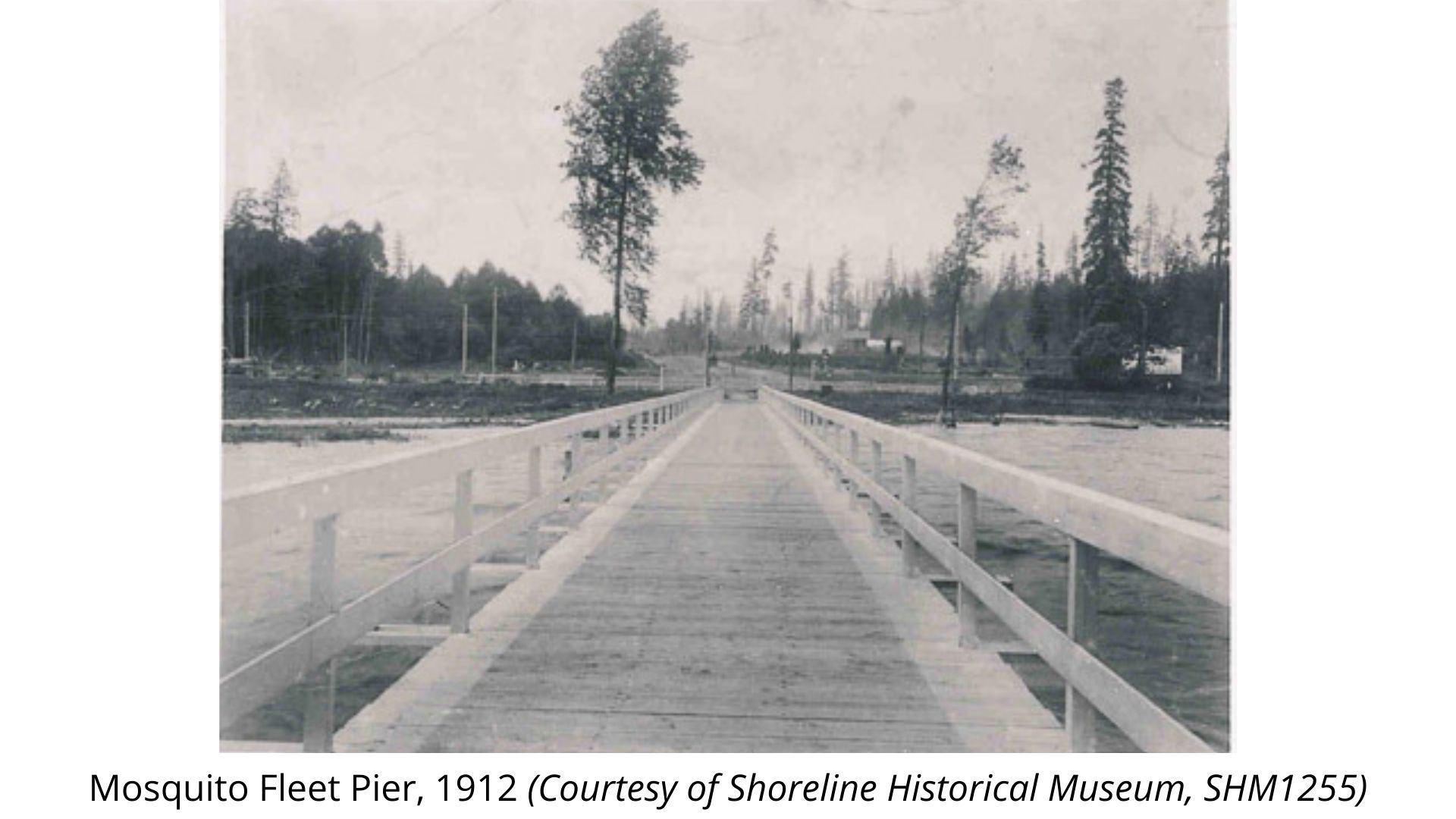 Mosquito Fleet Pier, 1912